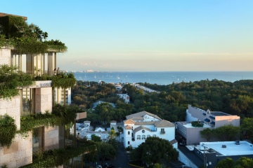 Allen-Morris-Coconut-Groove-02-Hummingbird-01