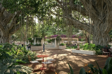 Allen_Morris-Coconut_Groove-02-Banyan-01-1